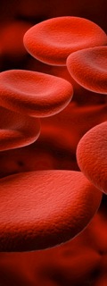 Assess Nutritional Status By Blood Chemistry Analysis