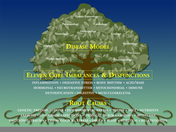 functional medicine tree