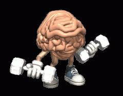 healthy brain