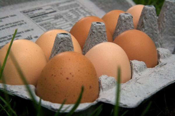 The Health Benefits Of Pastured Eggs