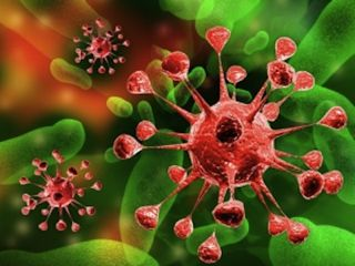 The Health Benefits Of Taking Probiotics