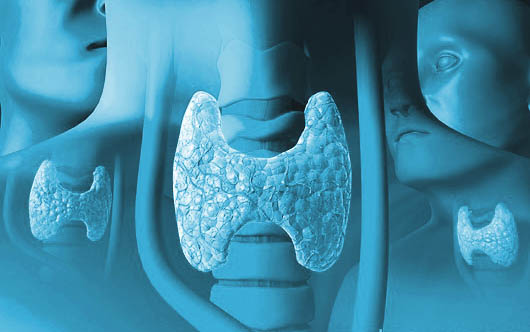 Healthy Thyroid Function, Part 2