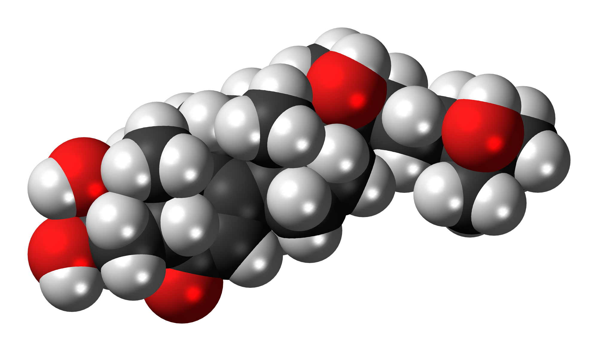 20-Hydroxyecdysone: The Pro-Anabolic, Plant Steroid