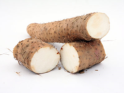 wild_yam