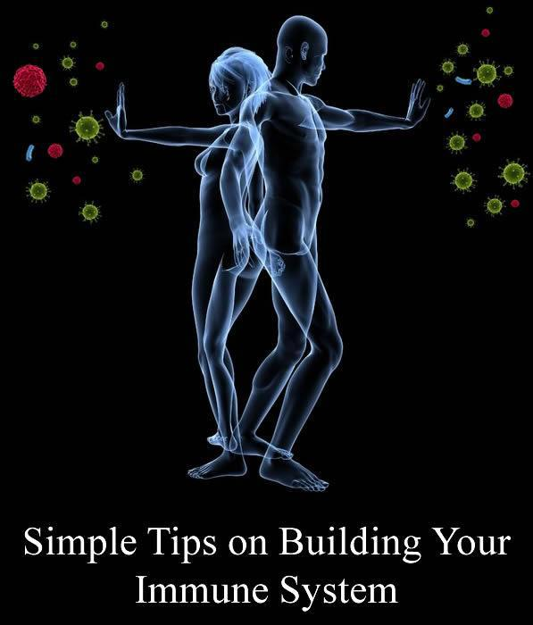 Building the Immune System with Botanicals and Antioxidants