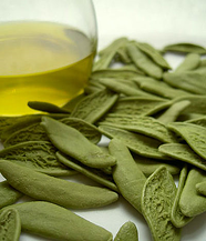olive_leaf_extract
