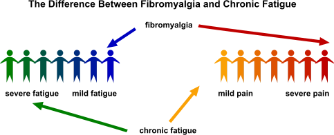 What do Chronic Fatigue Syndrome & Fibromyalgia have in common?