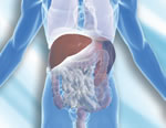 detox_the_liver