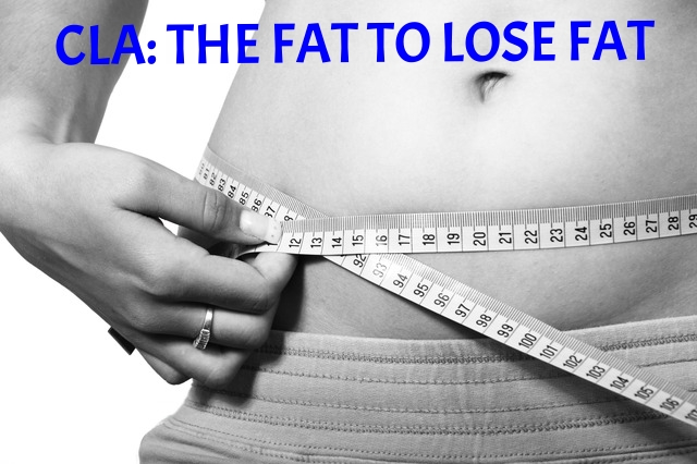 fatloss-blog