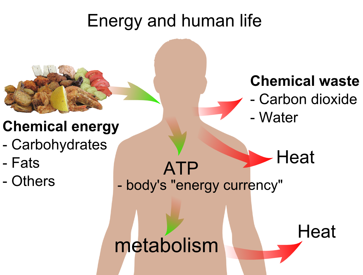 Natural Energy Boosters