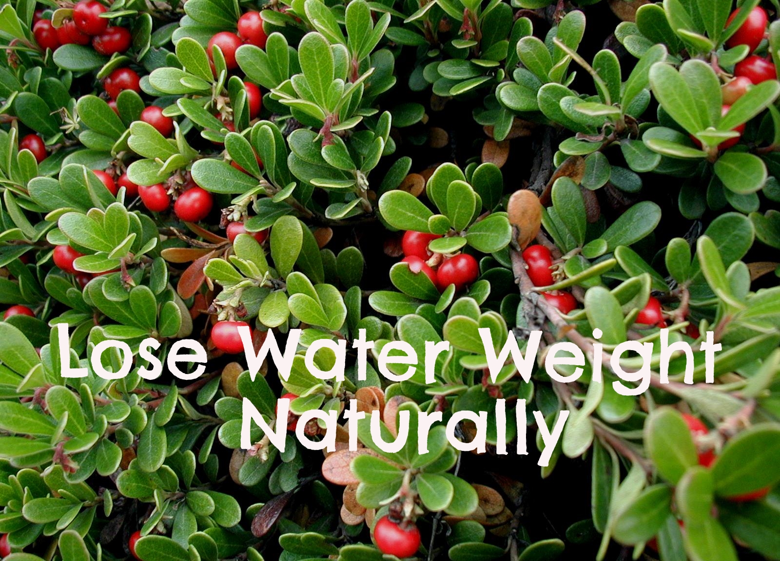 Natural Diuretics