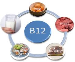 sources vitamin b12