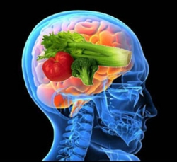 foods for healthy brain