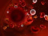 Functional Blood Chemistry Analysis Vs Regular Blood Testing
