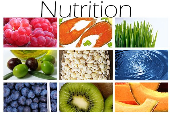 holistic nutrition