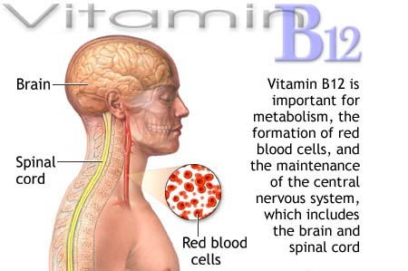 Health Benefits Of Vitamin B12