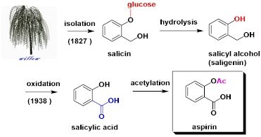 Aspirin Alternatives: Salicin Containing Herbs