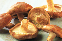 shiitake_mushrooms