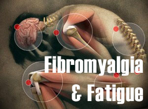 fibromyalga_&_fatigue