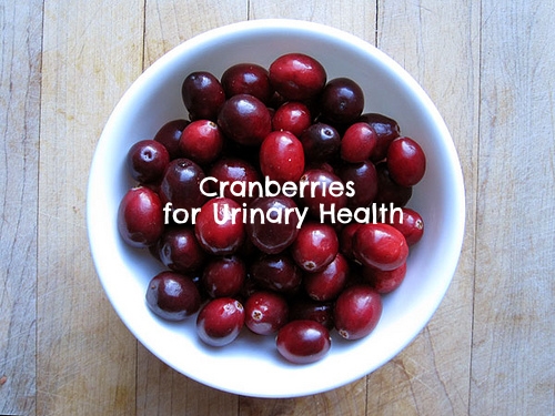 cranberries-blog