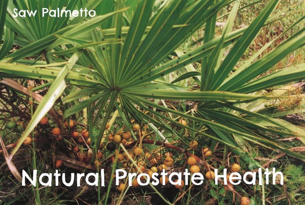 Natural Prostate Health