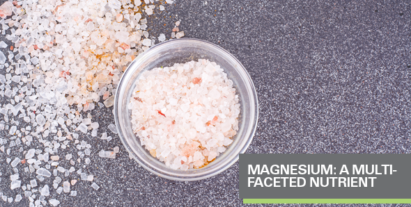 Magnesium: A Multi-faceted Nutrient