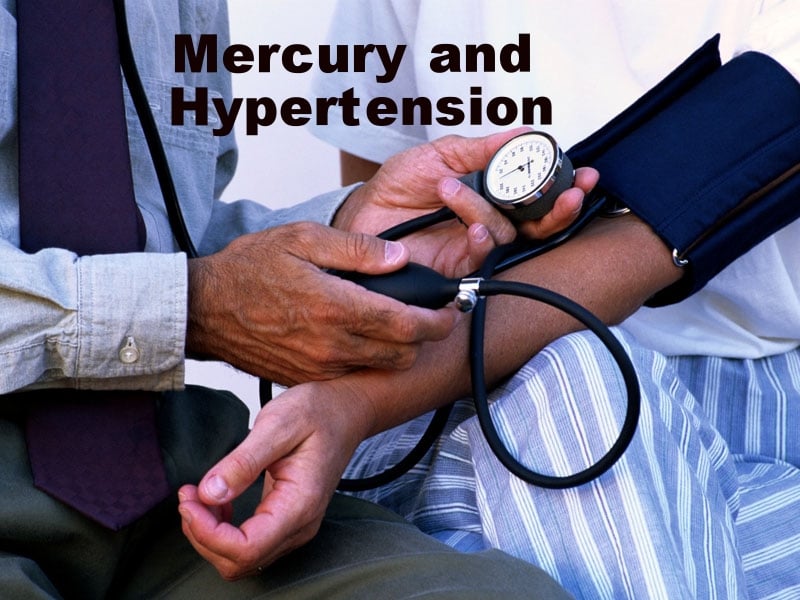 Does Mercury Toxicity Cause Hypertension