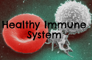 Promoting a Strong, Healthy Immune System